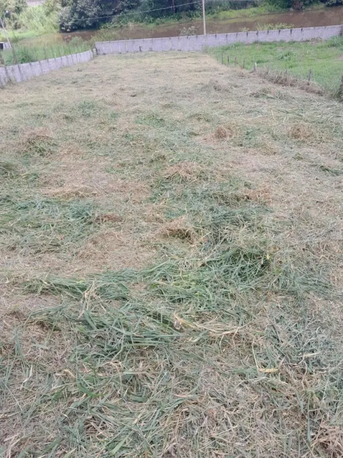 Terreno à venda, 900 m² por R$ 390.000 -Loteamento Jardim Centenário - B. Itapetinga - Atibaia/SP — foto 3