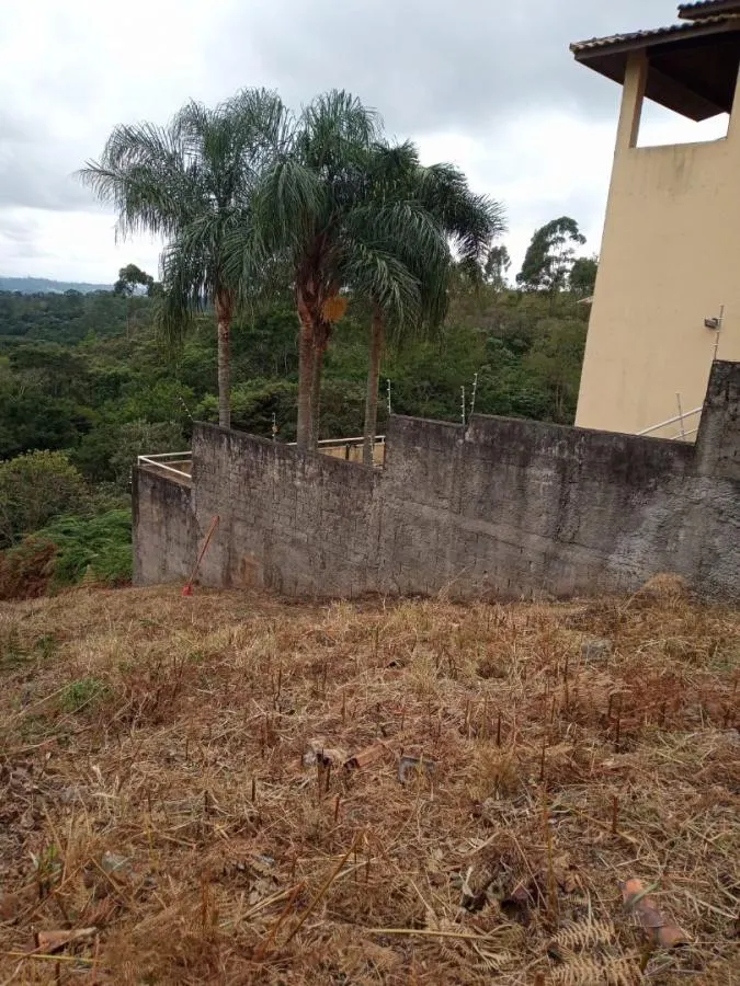 Terreno à venda, 1142 m² - Pau Arcado - Campo Limpo Paulista/SP — foto 3